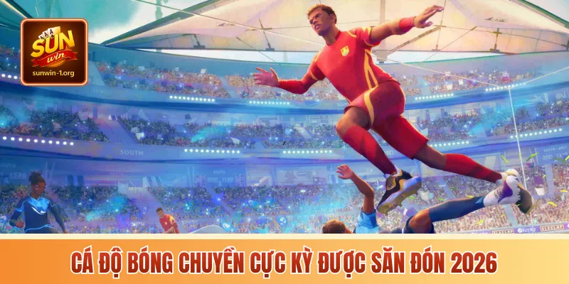 Cá độ bóng chuyền cực kỳ được săn đón 2026