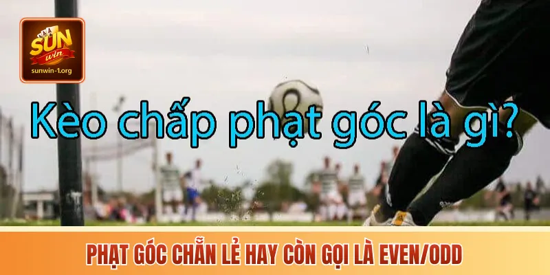 Phạt góc chẵn lẻ hay còn gọi là Even/Odd
