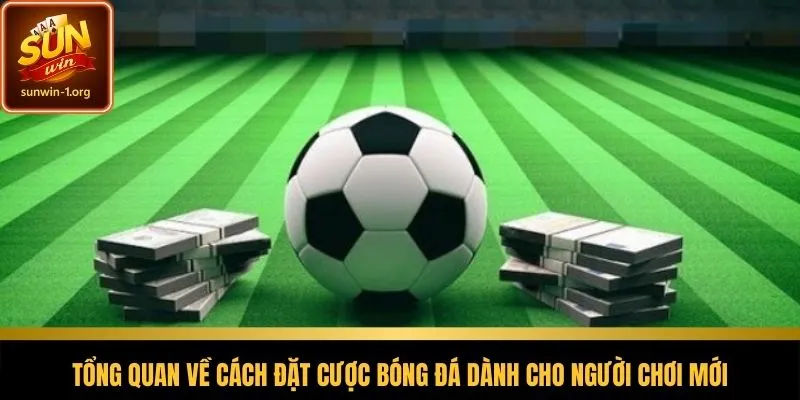 Cung cấp kiến thức nền tảng trước khi tham gia cá cược bóng đá