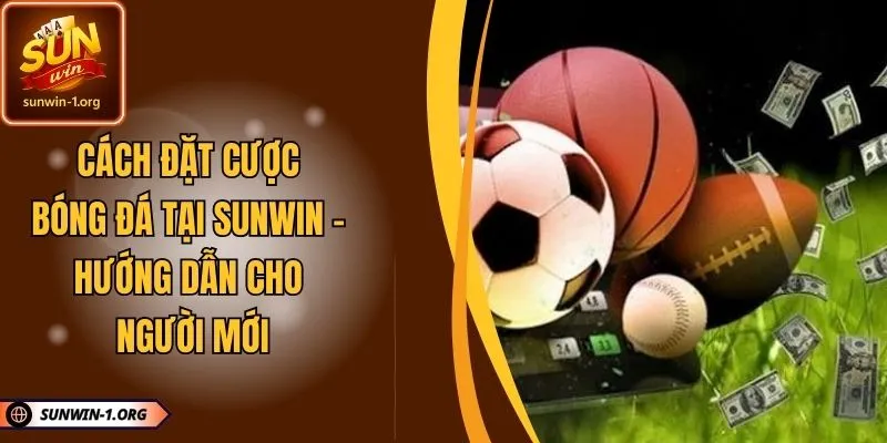 Cách Đặt Cược Bóng Đá Tại SUNWIN – Hướng Dẫn Cho Người Mới
