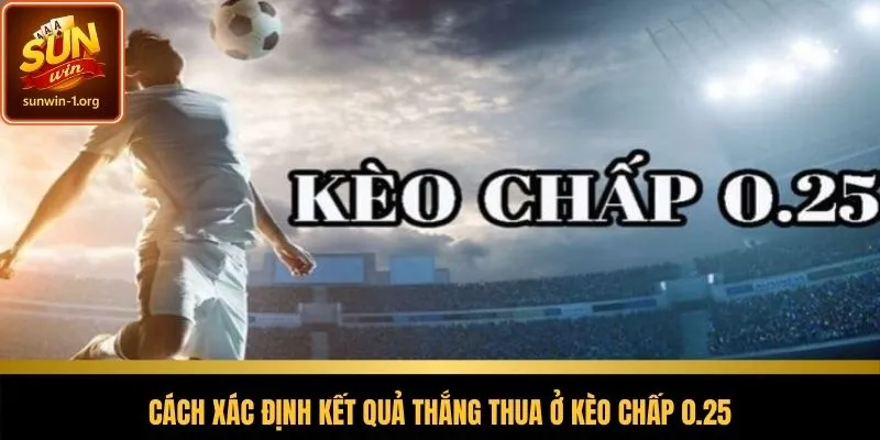 Phân tích kết quả thắng thua của kèo chấp 1/4